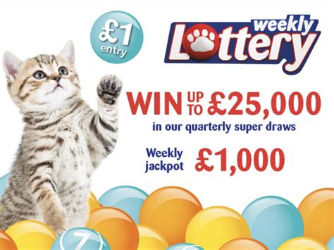 cats protection lottery odds|Our Winners .